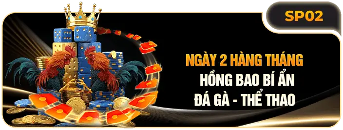 khuyến mãi thể thao